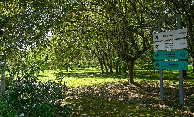 Cali, capital mundial de la biodiversidad