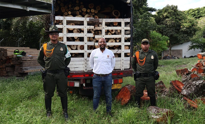Policía Ambiental realiza aprehensión de seis metros cúbicos de  madera en el sur de Cali