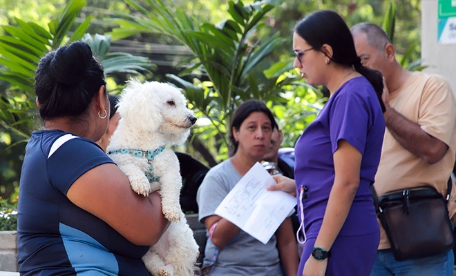 ¡No los devuelvas! Llamado urgente a la tenencia responsable de  animales en Cali