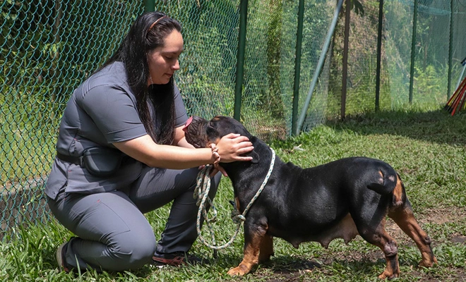 ¡Atención triplicada!: el CBA llega a atender hasta 140 animales por día en jornadas de alta demanda
