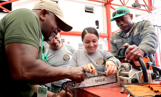 Grupos de emergencia se preparan para atender emergencias ambientales que involucren el arbolado urbano