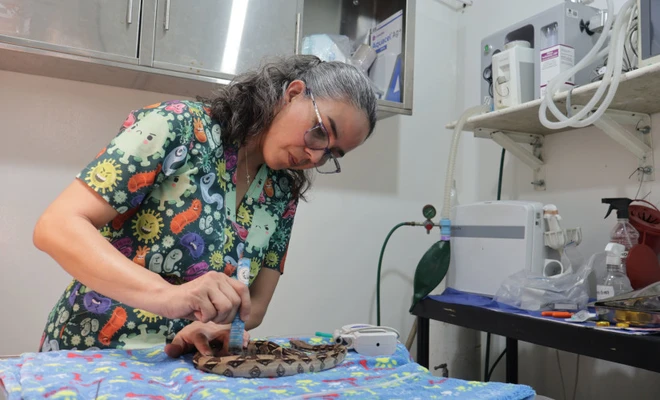 Con terapias alternativas mejoramos la calidad de vida de los animales atendidos en el Hogar de Paso del Dagma