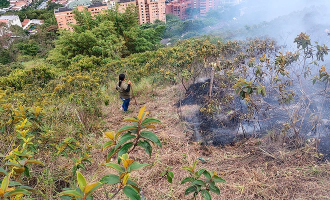 Alcaldía de Cali  atendió incendio forestal en el sector de Bataclán