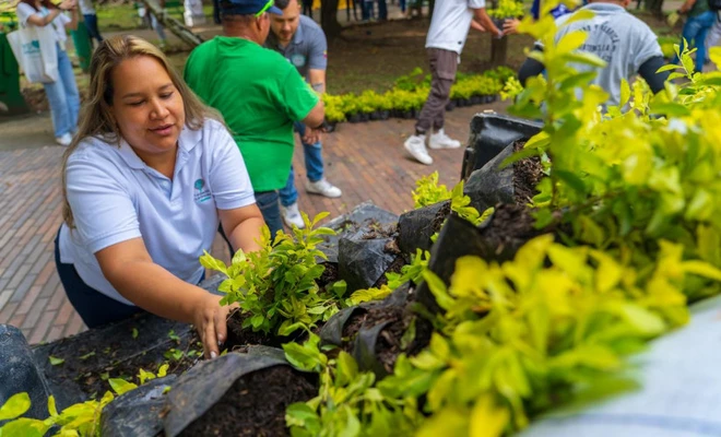 300 plantas que embellecen un parque en San Fernando: el regalo de la Clínica Imbanaco para Cali en su cumpleaños