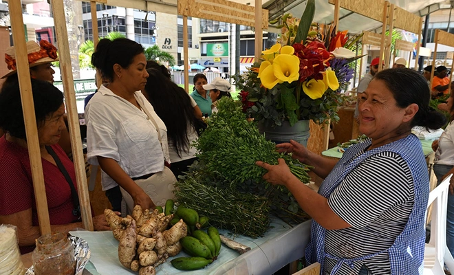 Con éxito se realizó la Feria de Emprendimiento del cumpleaños de Cali en la Plaza de Cayzedo