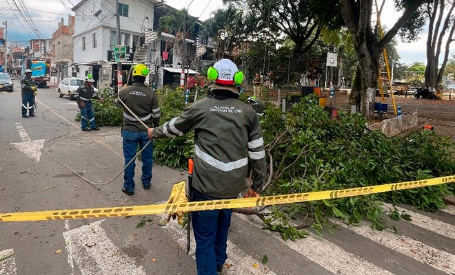 El Dagma atiende solicitudes ambientales de la ciudadanía en la Comuna 4