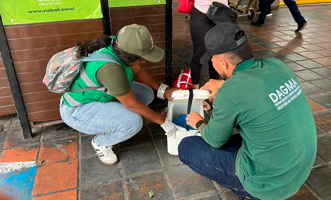 Intensifican operativos contra el tráfico de flora y fauna silvestre en Cali