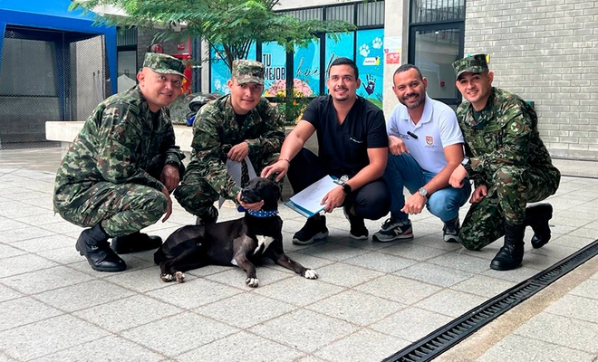 El 22 de agosto, Cali lanza una ruta contra el maltrato animal