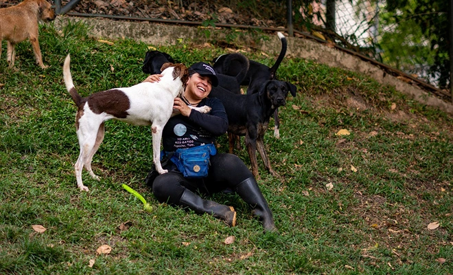 Verónica, Batman y Rocky: tres corazones perrunos que palpitan a la espera de un hogar en Cali