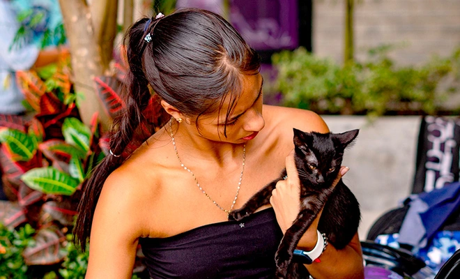 ¿Quiere esterilizar a su mascota? Estos son los requisitos clave que  debe cumplir