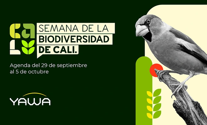 En la Semana de la Biodiversidad… ¡El parche está en Yawa!
