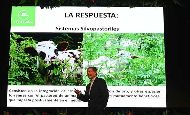 Ganadería Sostenible: el silvopastoreo es protagonista en la Semana de la Biodiversidad de Cali
