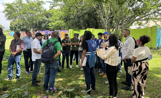 Concertación y preservación: premisas de la Alcaldía de Cali con los árboles de la calle 25