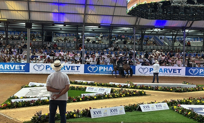 Cali sigue impulsándose como destino internacional: el ‘Mundial de Caballos de Paso’ atrajo más de 20 mil visitantes