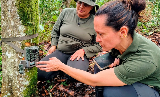 Cali, la primera ciudad capital en Colombia que transforma la preservación de su biodiversidad con inteligencia artificial