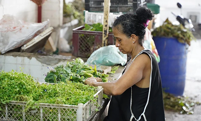 La Alcaldía de Cali también interviene la Plaza de Mercado La Floresta