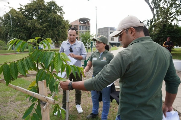 Más de 100.000 metros cuadrados de zonas verdes para uso público en este 2025