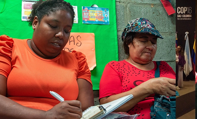 Red Aurora: el proyecto que teje oportunidades en las comunas 15, 20 y 21 de Cali