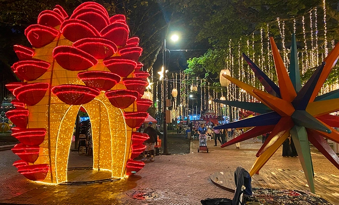 Alumbrado Navideño 2025 inicia el 7 de diciembre con un viaje mágico entre la biodiversidad y la tradición vallecaucana
