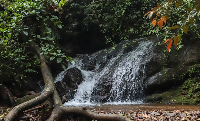 Turismo regenerativo e inclusión: los grandes aprendizajes de la Misión Costa Rica