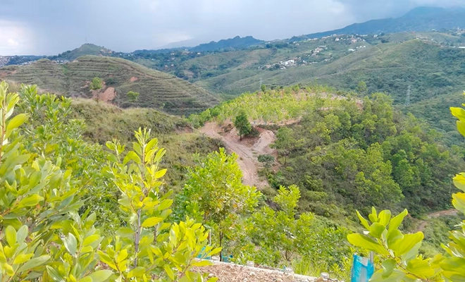 Departamento Administrativo de Planeación realiza aclaraciones técnicas sobre el Ecoparque Cerro de la Bandera y la revisión del POT