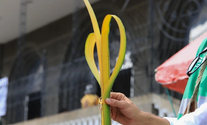 En Semana Santa, Cali le dice “sí” a la vida: el Dagma entregará más de 2000 plantas ornamentales y pide no usar palma de cera