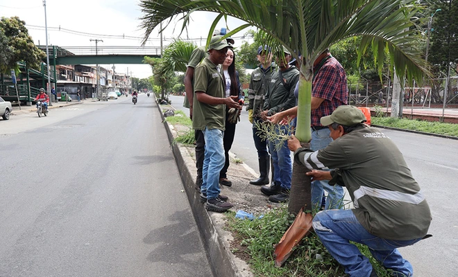 Inició la recuperación ambiental y paisajística del tramo uno en la avenida Ciudad de Cali