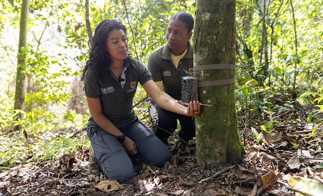 ¡Ojos en el bosque! Cámaras trampa revelan más de 60 especies de fauna silvestre en zonas rurales y urbanas de Cali