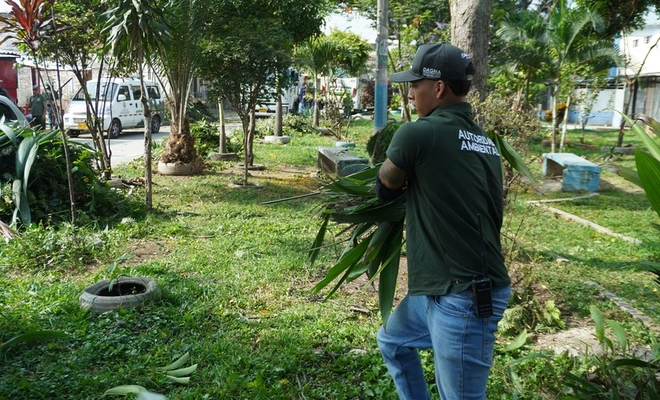 ‘Distrito + Verde’, una estrategia del Dagma que transforma barrios y fortalece la identidad ambiental de Cali