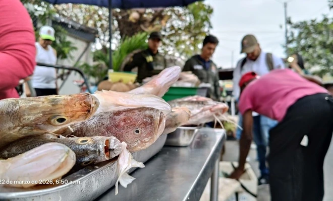 Tras operativos de control, autoridades reportan disminución en la comercialización de especies silvestres