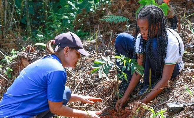 Niños y jóvenes siembran vida en los Farallones de Cali