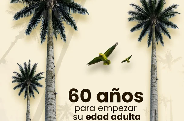 El Domingo de Ramos se entregarán 2000 plantas vivas para frenar el tráfico de palma de cera