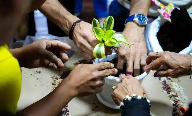 Resultados y nuevas apuestas impulsan el sector cultural desde la Secretaría de Cultura de Cali