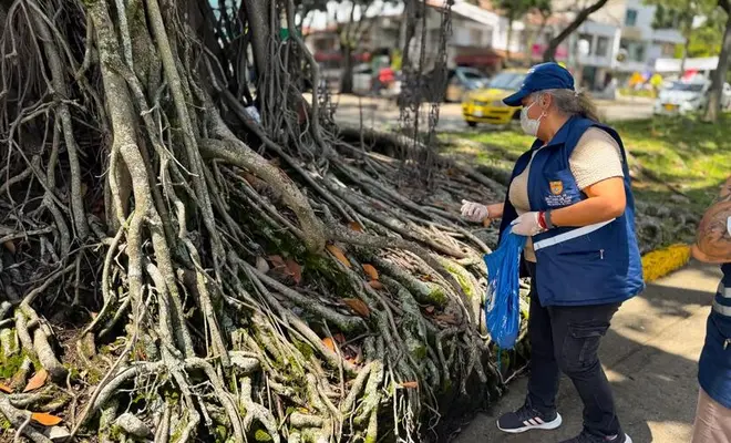 Secretaría de Salud realizó acciones de inspección, vigilancia y control a roedores en separador de la calle 9ª