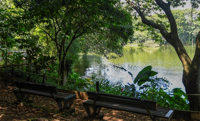 El cumpleaños de Cali florece en el Ecoparque Lago de la Garzas con una jornada ambiental para reconocer nuestra biodiversidad