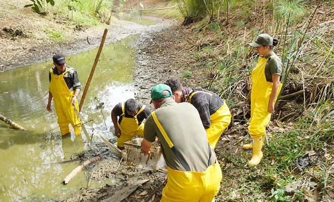 Dagma intensifica acciones y monitoreo en los humedales de Cali