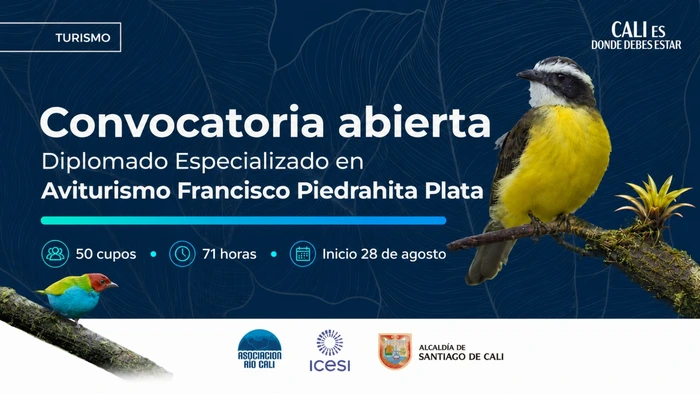 Convocatoria pública Diplomado Especializado en Aviturismo “Francisco Piedrahita Plata”