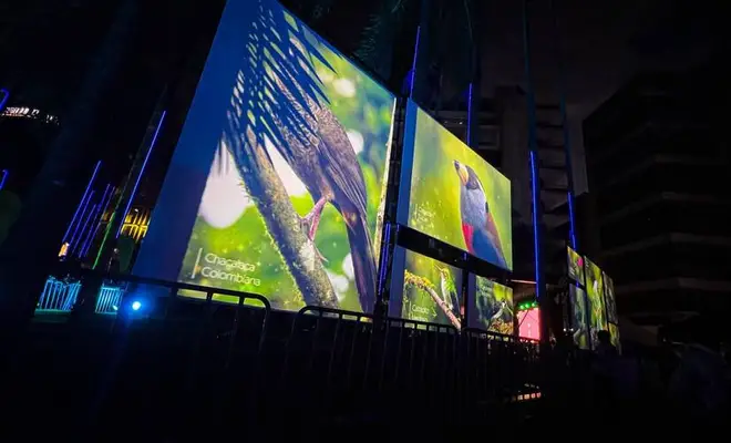 Más de 8000 personas han vivido las experiencias inmersivas que iluminan los 490 años de Cali
