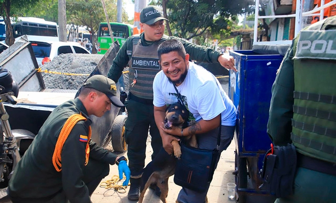 Entregan balance sobre atención de animales afectados durante la emergencia: llamado a reportar mascotas perdidas