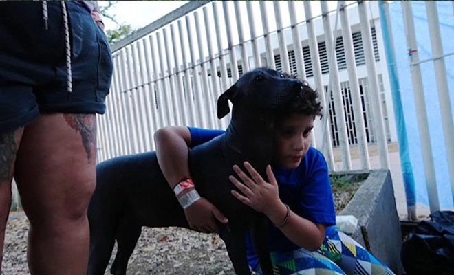 Se culmina etapa de búsqueda de animales en puntos críticos. Ahora sigue la recuperación y el reencuentro de los afectados