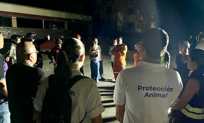 Protección Animal amplía recorridos y estrategias de captura en edificaciones afectadas: sigue la búsqueda del gato ‘Merlín’