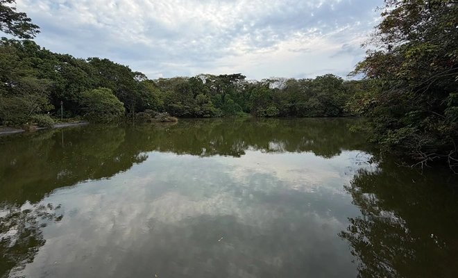 Dagma hace seguimiento permanente a humedales públicos, ante disminución del espejo de agua por Fenómeno de El Niño