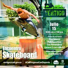 Encuentro Skateboard Vértigo sin limites