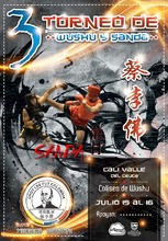 Torneo de Wushu y Sanda