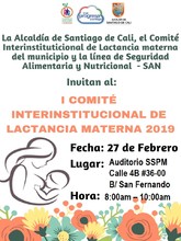I Comité interinstitucional de lactancia materna 2019