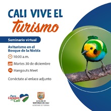 Convocatoria Seminario Virtual "Aviturismo en el Bosque de Niebla de San Antonio"