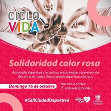 Ciclovida  Solidaridad color rosa