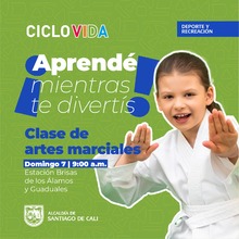 Clase de artes marciales - Ciclovida