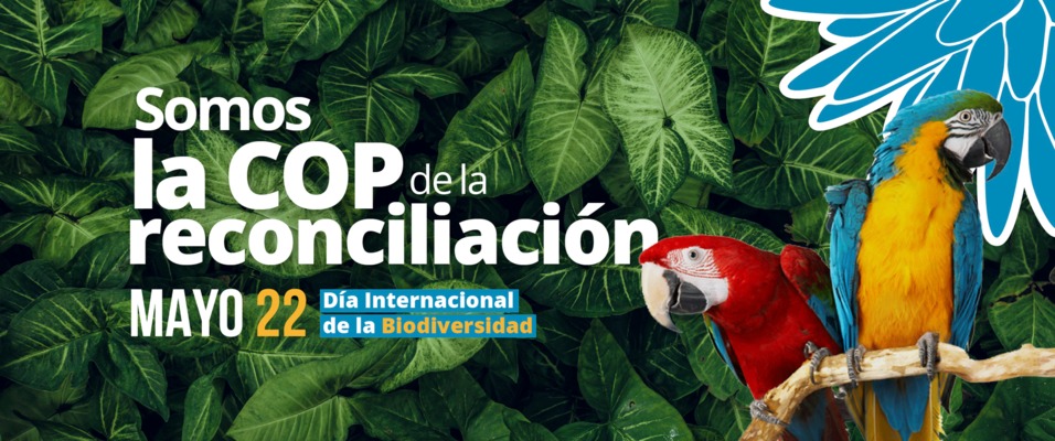 Cali celebra el ‘Día Internacional de la Diversidad Biológica’ con jornadas de sensibilización sobre la COP16