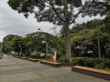 Boulevard del Río